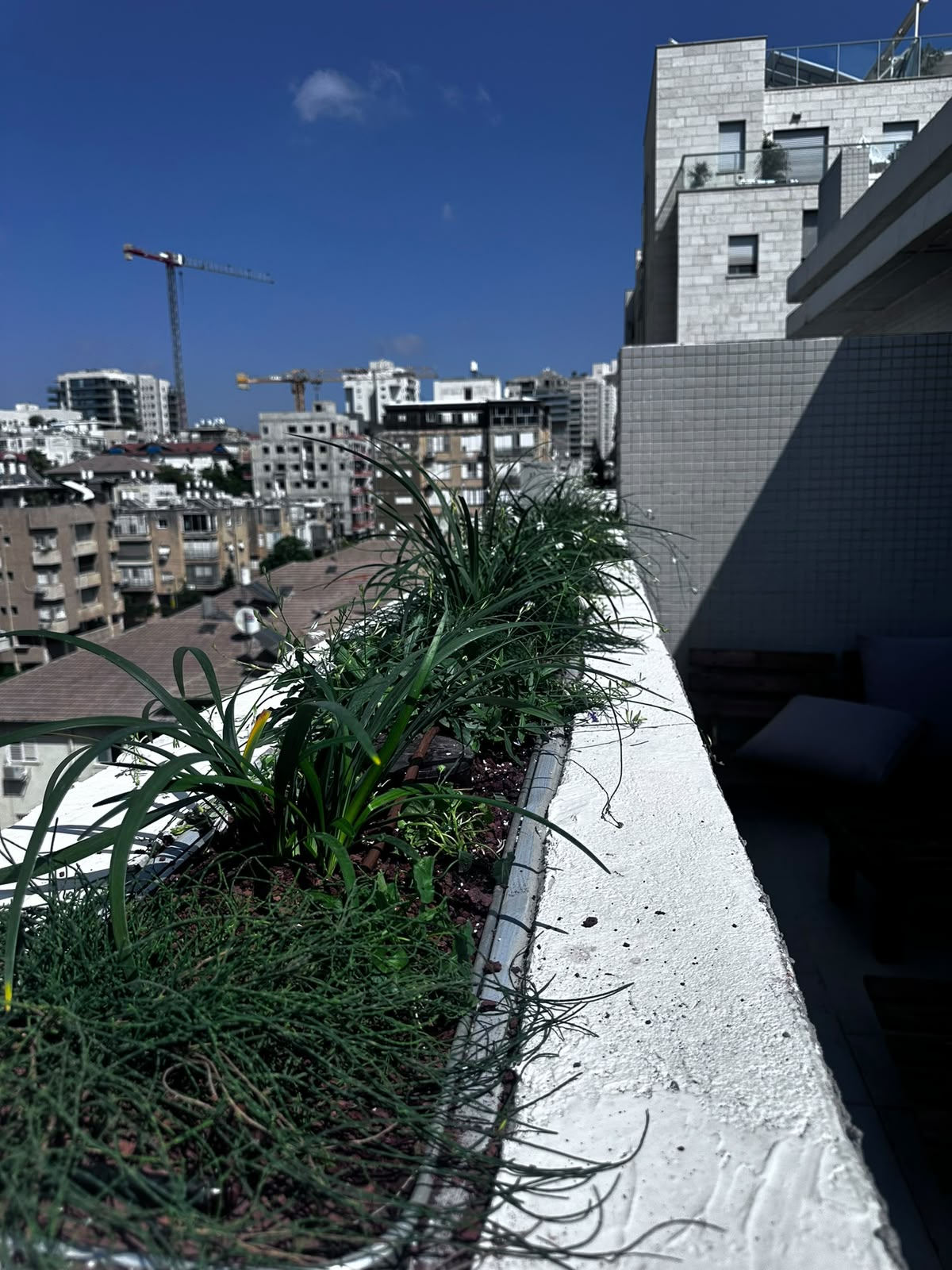 אדנית בטון בקצה מרפסת עם צמחייה ירוקה